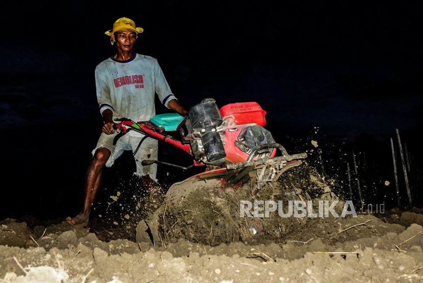 Seorang petani mengoperasikan mesin pengolah tanah di salah satu lahan, Arsopura, Skanto, Kabupaten Keerom, Papua, Kamis (29/10).