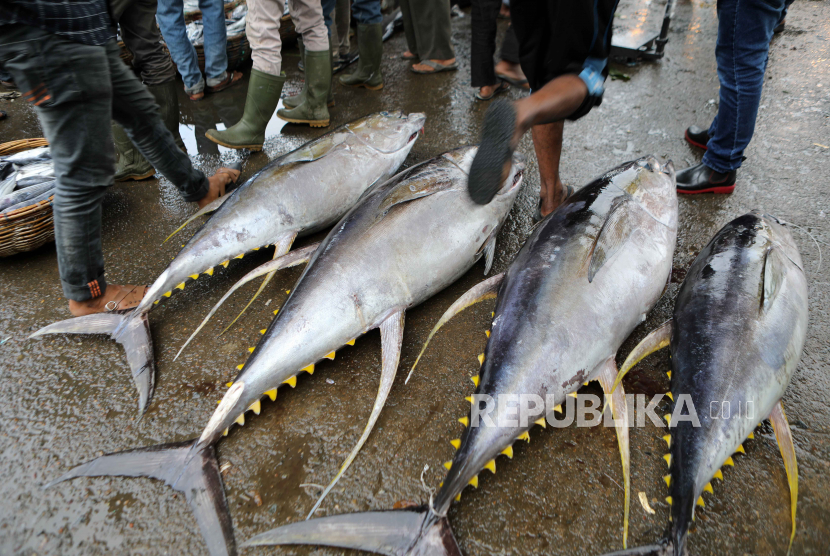 Nelayan menurunkan ikan tuna sirip kuning dari perahu setelah kembali dari melaut di pasar ikan tradisional Lampulo di Banda Aceh, Indonesia, Salasa (31/1/2023). Kementerian Kelautan dan Perikanan (KKP) berpartisipasi dalam Seafood Expo North America (SENA) di Boston, Amerika Serikat pada 12-14 Maret 2023 dengan menghadirkan produk perikanan utama dalam negeri baik hasil budi daya maupun tangkap.