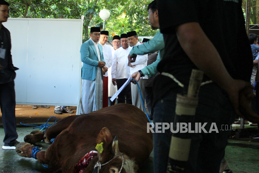 Gubernur Jawa Barat Ridwan Kamil meninjau pelaksanaan pemotongan hewan kurban yang digelar Rumah Amal Salman.