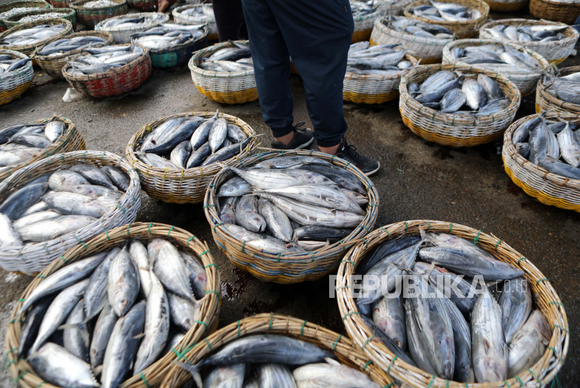 Pembagian ikan (ilustrasi).