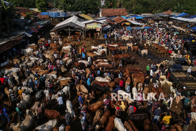 Sejumlah pedagang menjajakan hewan untuk kurban di Pasar Hewan Jonggol, Kabupaten Bogor, Jawa Barat, Kamis (30/6/2022). DKPP Bogor Jabar mengatakan kambing belum jadi prioritas vaksinasi PMK.