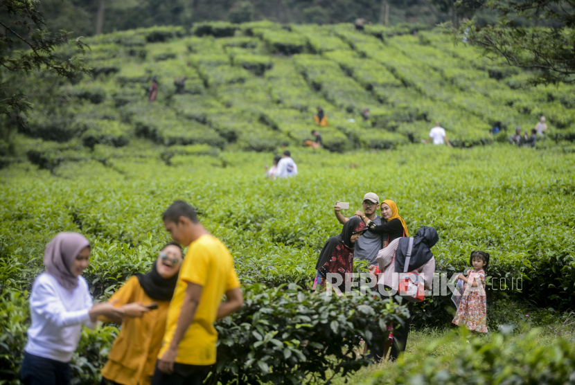 Warga berwisata di kawasan kebun teh Puncak, Kabupaten Bogor, Jawa Barat.