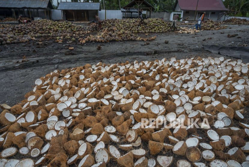 Pekerja mengupas sabut dari buah kelapa di salah satu pengepul kelapa di Desa Pewunu, Sigi, Sulawesi Tengah, Kamis (28/7/2022). 