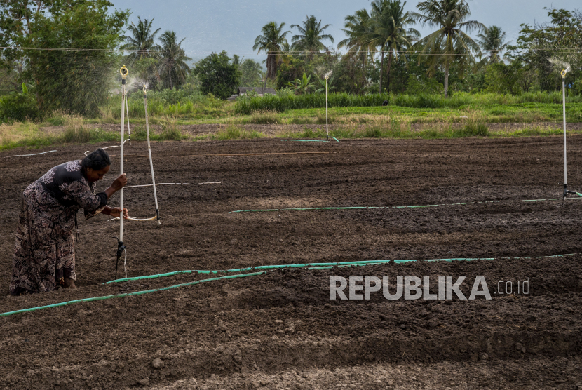 Seorang petani menancapkan kincir air buatan untuk membasahi lahan pertaniannya di kawasan transmigrasi (ilustrasi)