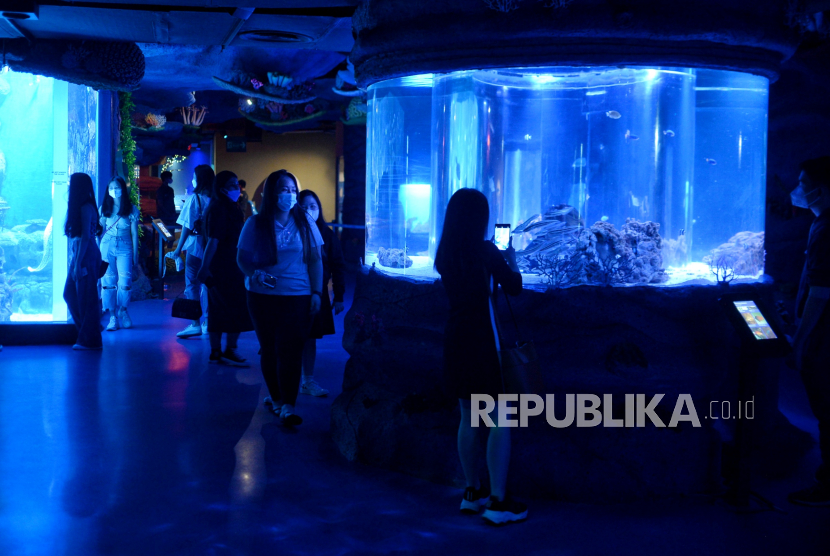 Pegunjung melihat ikan di Jakarta Aquarium dan Safari, Jakarta, Rabu (21/4). Jakarta Aquarium dan Safari menjadi salah satu tempat pilihan warga untuk menikmati kawasan konservasi hewan akuatik dan non-akuatik seluas satu hektare.