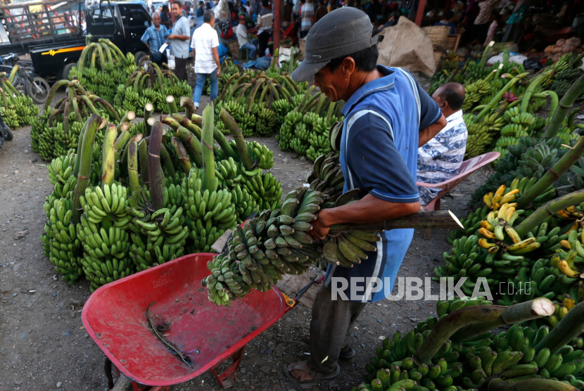 Pedagang kaki lima menata pisang untuk dijajakan di pasar Lambaro, Aceh Besar, Aceh, Kamis (16/7/2020). Pemerintah sudah menyiapkan anggaran sebesar Rp 28,8 triliun untuk 12 juta pelaku usaha mikro dan ultra mikro.