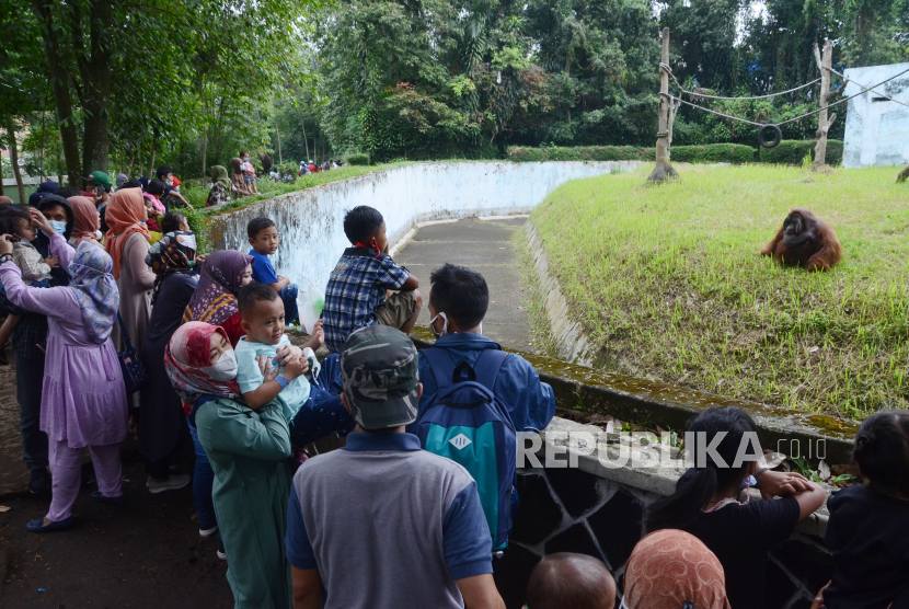 Aktivitas pengunjung di Kebun Binatang Bandung atau Bandung Zoological Garden, Jalan Tamansari, Kota Bandung, Ahad (16/5). Dengan membludaknya pengunjung, Kebun Binatang Bandung melakukan buka tutup pintu masuk dan protokol kesehatan secara ketat.