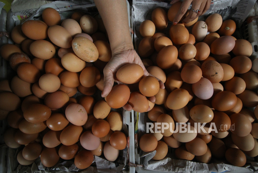 Pedagang menunjukkan telur ayam ras di salah satu stan, di Pasar Pabean, Surabaya, Jawa Timur, Jumat (11/12/2020). Harga telur ayam ras naik dari Rp.26.000 per kilogram (isi enam belas butir) menjadi Rp.28.000 per kilogram seiring meningkatnya permintaan masyarakat menjelang perayaan Natal dan Tahun Baru 2021. 