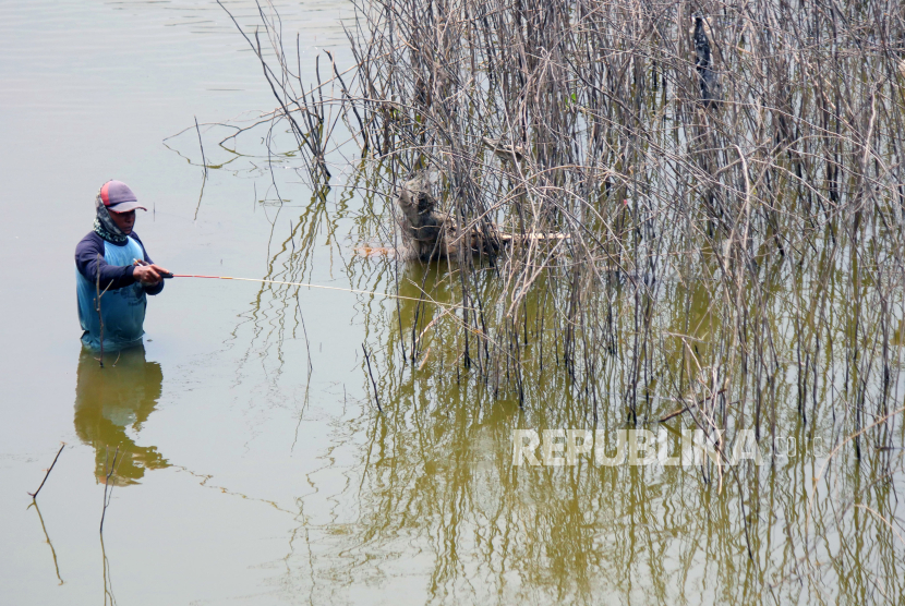 Warga memancing ikan di antara semak yang telah meranggas di Situ Ciburuy Padalarang, Kabupaten Bandung Barat, yang mulai surut akibat kemarau, Selasa (22/8/2023). (Foto Ilustrasi)