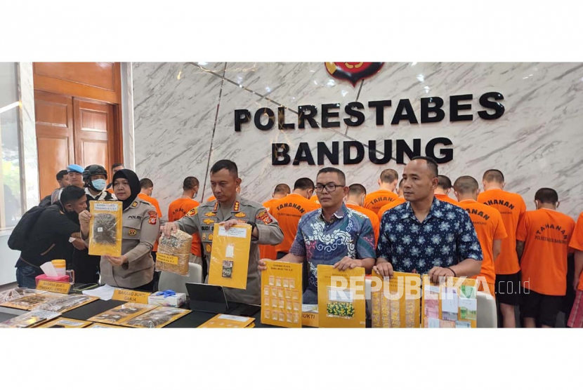 Polrestabes Bandung menunjukkan barang bukti kasus narkoba dan obat keras saat rilis pengungkapan kasus di Markas Polrestabes Bandung, Kota Bandung, Jawa Barat, Jumat (21/7/2023). 