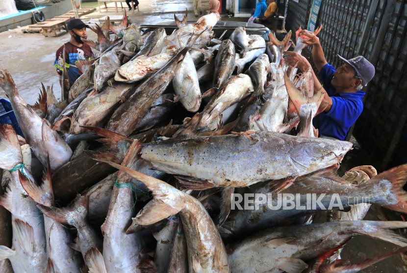 Pekerja mengumpulkan ikan di tempat pelelangan ikan Karangsong, Indramayu, Jawa Barat (ilustrasi). Pemerintah akan menggenjot ekspor langsung produk perikanan lokal melalui bandara-bandara yang dikelola PT Angkasa Pura (AP) II. ANTARA FOTO/Dedhez Anggara/wsj.