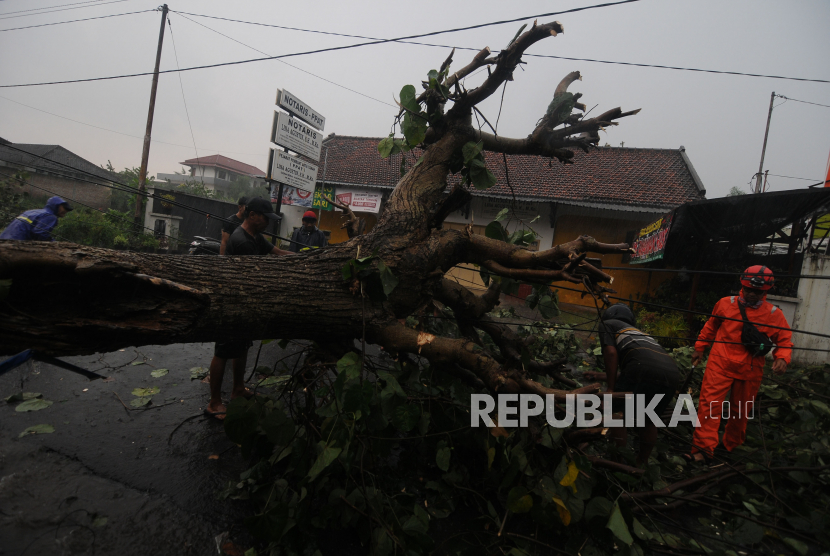 Warga bergotong royong memotong pohon yang tumbang menutupi jalan saat hujan lebat di Karangduren, Sawit, Boyolali, Jawa Tengah, Kamis (9/12/2021). (Ilustrasi)