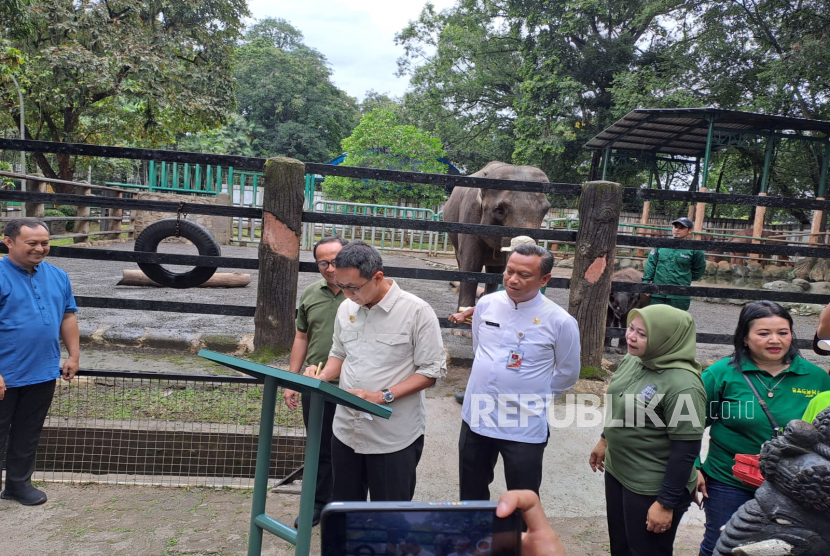 Penjabat (Pj) Gubernur DKI Jakarta Heru Budi Hartono saat kegiatan pemberian nama jerapah dan gajah di Taman Margasatwa Ragunan, Jakarta Selatan, Jumat (3/2/2023). 