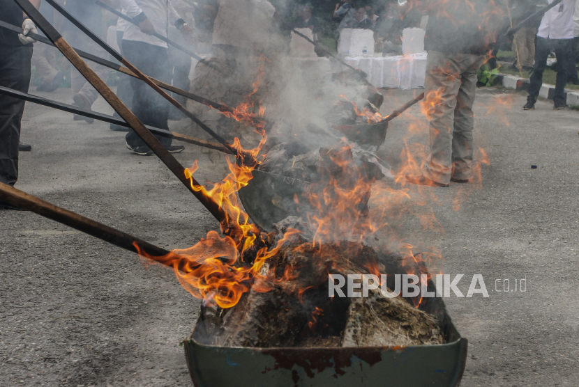 Petugas Kepolisian membakar ganja kering saat pemusnahan barang bukti narkoba (ilustrasi)  
