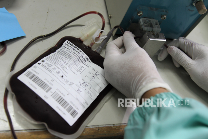 Petugas Unit Transfusi Darah PMI Kendari mengolah darah pendonor di Kantor PMI. 