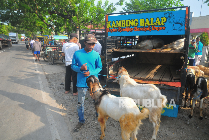 Pedagang menjajakan kambing dagangannya di pinggir jalan pantura, depan Pasar Hewan Desa Gulang, Mejobo, Kudus, Jawa Tengah. Ilustrasi.