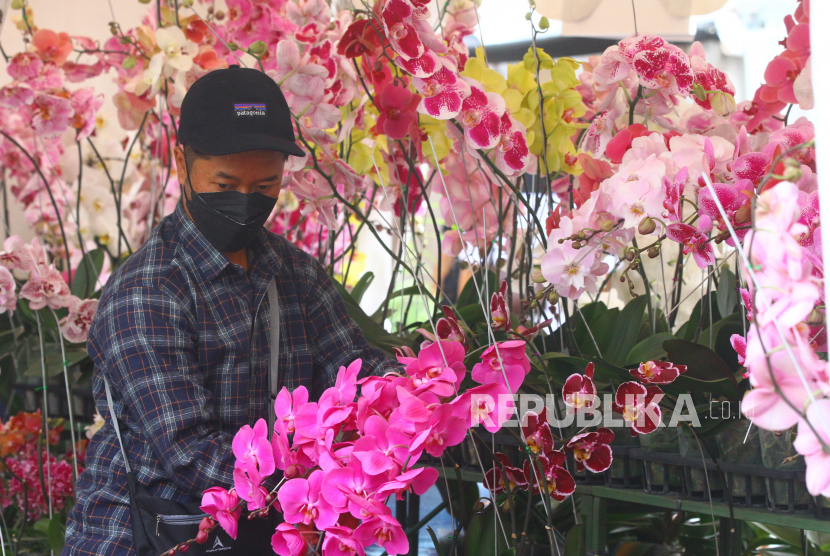 Pengunjung melihat anggrek yang dipajang dalam pameran anggrek bertajuk Batu Orchid Week di depan Balaikota Among Tani, Batu, Jawa Timur, Selasa (9/11/2021). Kegiatan yang digelar oleh Perhimpunan Anggrek Indonesia (PAI) selama delapan hari tersebut menampilkan ratusan anggrek spesies dan hibrida yang dibudidayakan petani dari Pulau Jawa dan Kalimantan. 