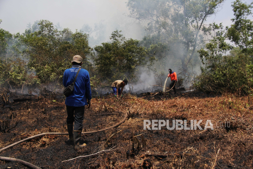 Petugas berupaya memadamkan api yang membakar semak belukar di lahan gambut di Dumai, Riau, Selasa (19/3/2024).