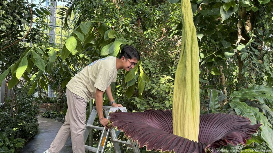 Arnaldy Prasetya/Botanischer Garten Berlin