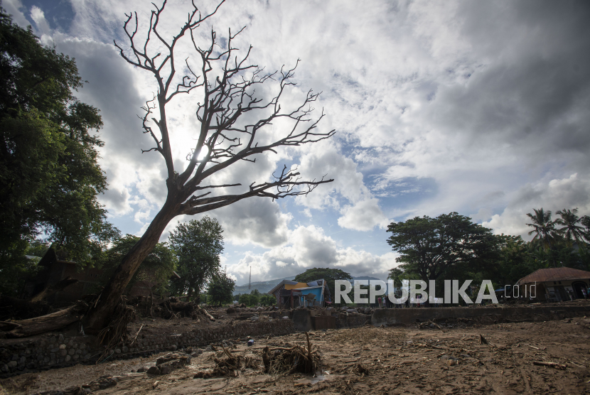 Sebuah pohon mengering di lokasi terdampak banjir bandang di Adonara Timur, Kabupaten Flores Timur, Nusa Tenggara Timur (NTT), Selasa (6/4/2021). Cuaca ekstrem akibat siklon tropis Seroja telah memicu bencana alam di sejumlah wilayah di NTT dan mengakibatkan rusaknya ribuan rumah warga dan fasilitas umum. 