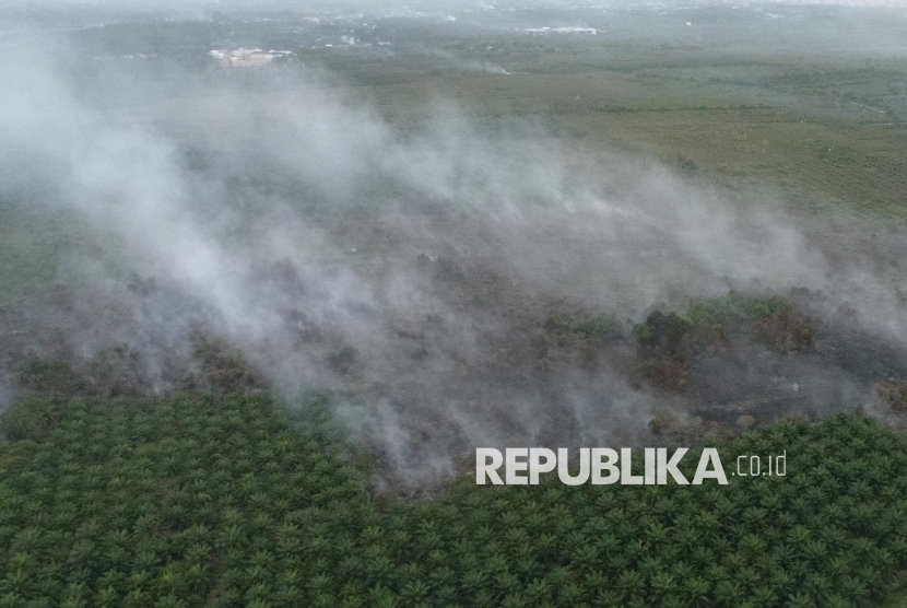 Karhutla di Aceh Barat Meluas, 12 Hektar Lahan Hangus Terbakar