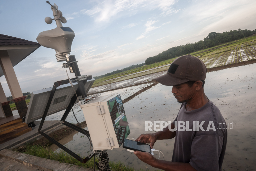 Petani memantau cuaca melalui aplikasi gawainya di Desa Tambak Baya, Lebak, Banten, Selasa (20/12/2022). Petani di daerah tersebut memanfaatkan teknologi digital guna mempermudah menentukan perubahan cuaca maupun kelembaban tanah saat akan menanam padi serta dapat menentukan waktu panen yang tepat. 