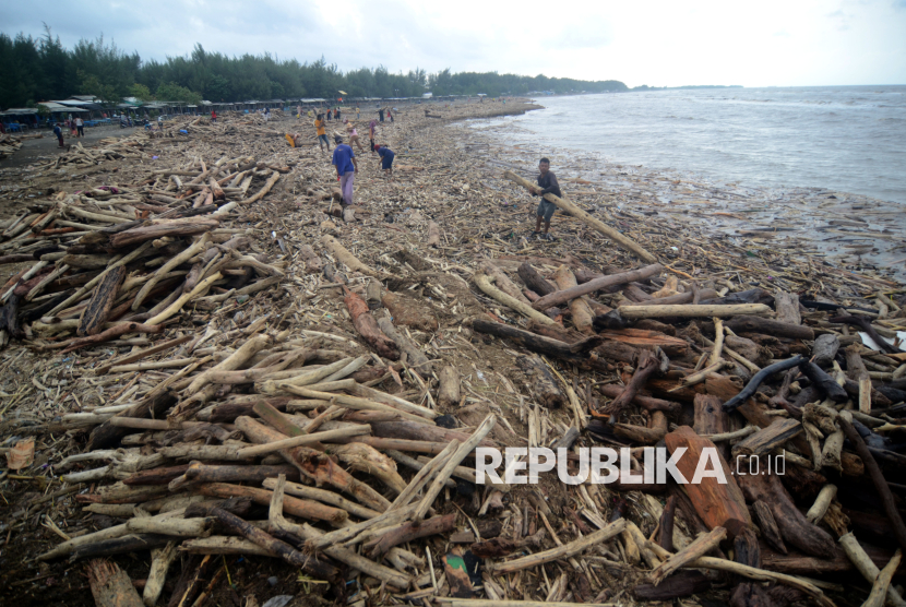 Tumpukan Kayu Gelondongan Terdampar di Pantai Utara Desa Larangan Tegal