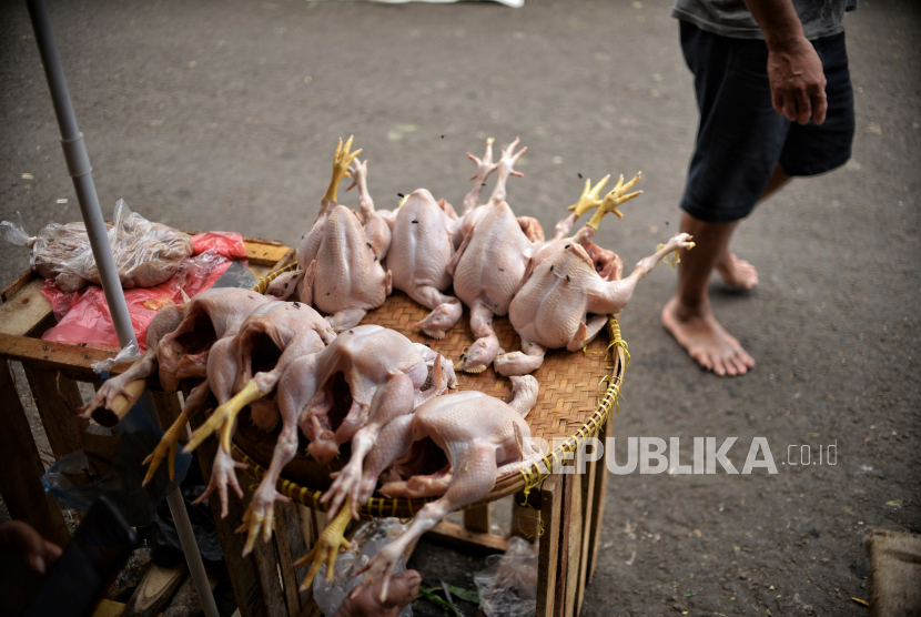 Pedagang daging ayam potong menunggu pembeli di pasar tradisional (ilustrasi) 