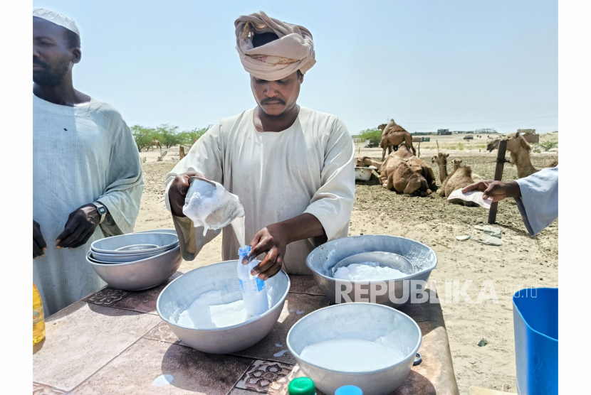 Ali penggembala unta dari Sudan sedang menuangkan susu unta yang baru saja diperah Ahad (11/6/2023) (ilustrasi) 