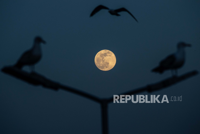 Burung camar terbang di atas Bosphorus saat bulan purnama Supermoon atau super Pink Moon di Istanbul, Turki, 26 April 2021. Saat Abu Yazid Berperang Melawan Hawa Nafsu