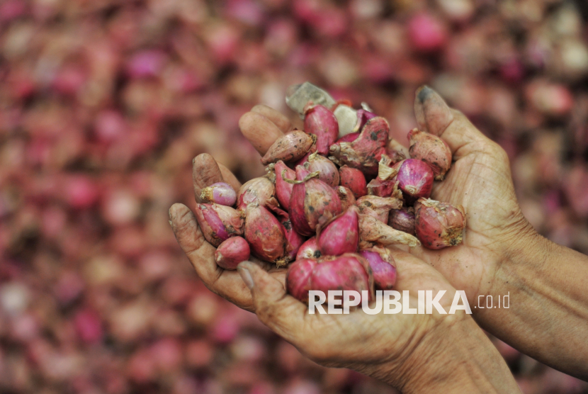 Jelang Nataru, Mentan Siapkan Operasi Pasar Cabai dan Bawang