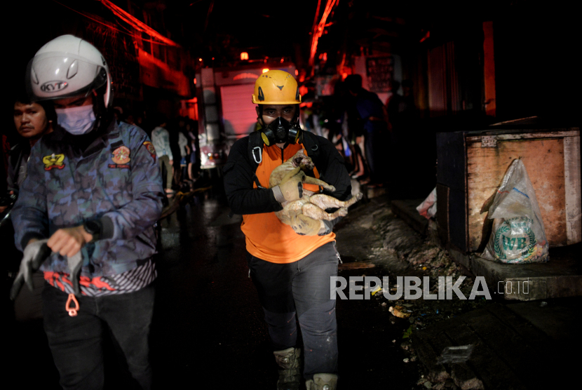 Petugas mengevakuasi seekor kucing saat terjadinya kebakaran di Depo Pertamina Plumpang, Jakarta Utara, Jumat (3/3/2023) malam.