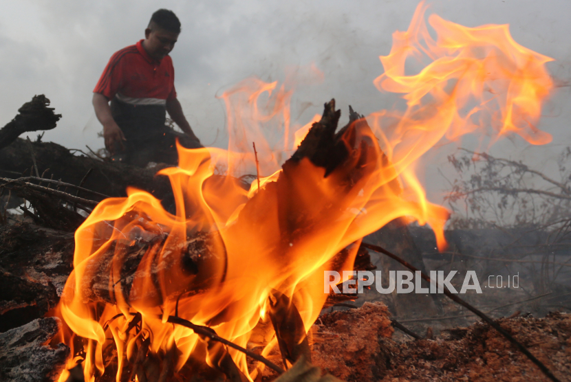 Seorang warga berdiri di dekat kobaran api yang membakar lahan gambut di Desa Suak Puntong, Nagan Raya, Aceh, Jumat (23/6/2023). Berdasarkan data Badan Penanggulangan Bencana Aceh (BPBA) pada Kamis (22/6) luas kebakaran hutan dan lahan (karhutla) di Nagan Raya telah mencapai 21,5 hektar dan terus meluas akibat upaya pemadaman terkendala sumber air dan akses jalan menuju lokasi kebakaran.  