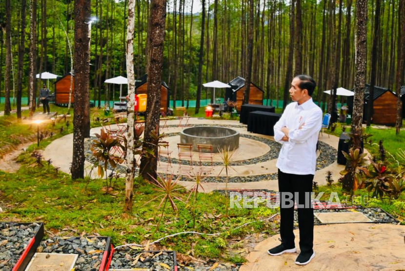 Presiden Jokowi dan sejumlah menteri yang tampak menikmati suasana alam setelah hujan di lokasi tempatnya bermalam di KIPP IKN. 