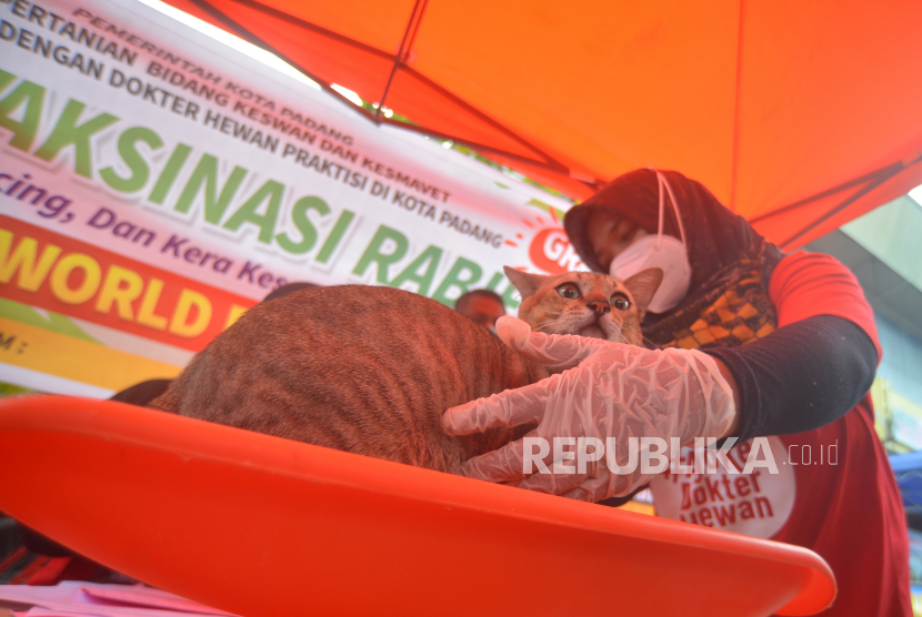 Dokter hewan menyuntikkan vaksin rabies ke seekor kucing di Padang, Sumatra Barat, akhir pekan lalu. Pemkot Padang membuka vaksinasi rabies gratis untuk anjing, kucing dan kera dalam rangka membebaskan kota itu dari virus rabies sekaligus memperingati Hari Rabies Sedunia. 