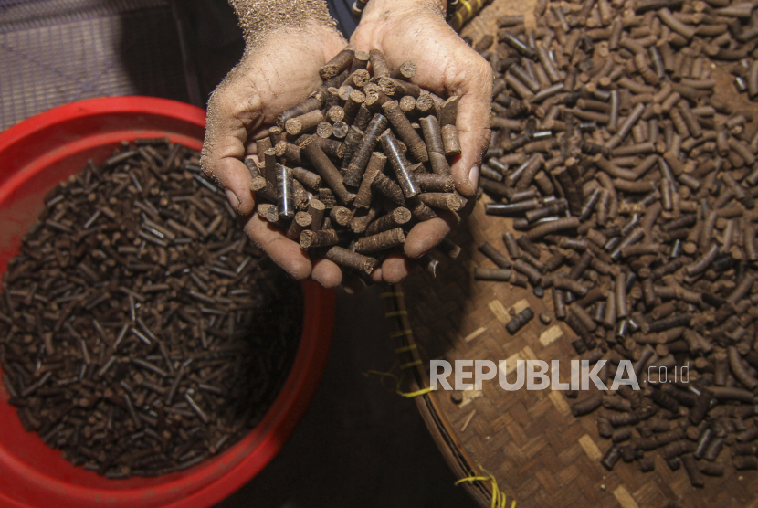 Pellet biomassa berbahan dasar kayu (ilustrasi). PT Barata Indonesia (Persero) menggandeng perusahaan berbasis di Malaysia, Treehouz Asia, mengembangkan pellet biomassa.