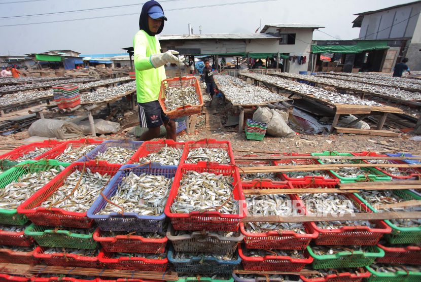 Pekerja menjemur ikan asin di sentra produksi kawasan Kampung Nelayan Muara Angke, Jakarta. Pemerintah mencatatkan realisasi anggaran program penanganan Covid-19 dan pemulihan ekonomi nasional (PEN) 2021 sebesar Rp 237,54 triliun per 25 Juni 2021. Artinya, penyaluran baru sekitar 34 persen dari pagu Rp 699,43 triliun