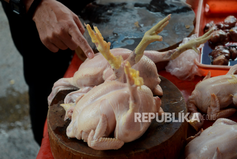 Pembeli memilih ayam di Pasar Kebayoran, Jakarta, Senin (3/7/2023). 