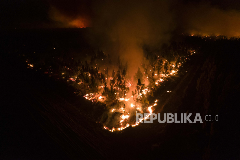 Kebakaran menghanguskan hutan di dekat Ituzaingo, di provinsi Corrientes, Argentina, Sabtu, 19 Februari 2022. 