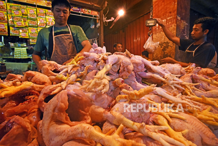Pedagang daging ayam melayani pembeli di Pasar Induk Rau Kota Serang, Banten, Selasa (8/8/2023). Menurut pedagang sejak Senin (7/8) harga daging ayam naik dari Rp32 ribu menjadi Rp44 ribu perkilogram akibat pasokan menurun sementara permintaan naik. 