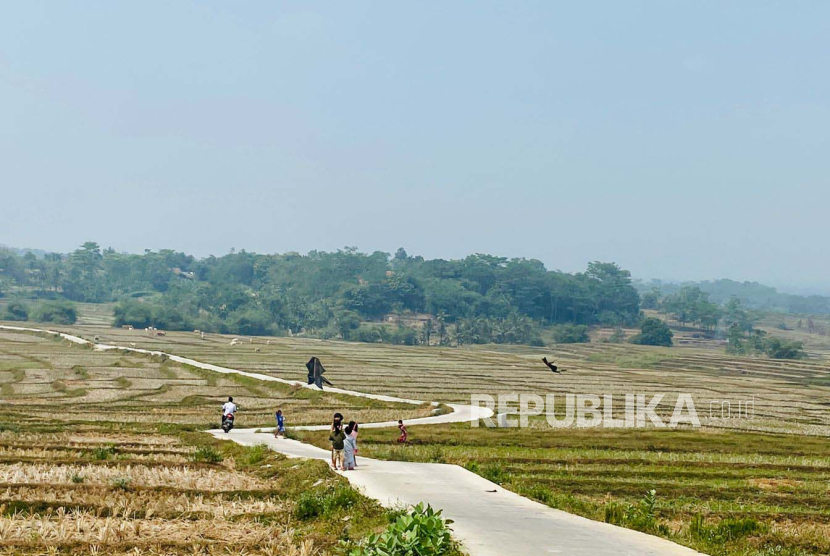 Suasana Desa Weninggalih, Kecamatan Jonggol, Kabupaten Bogor yang terdampak kekeringan, Rabu (9/8/2023). 