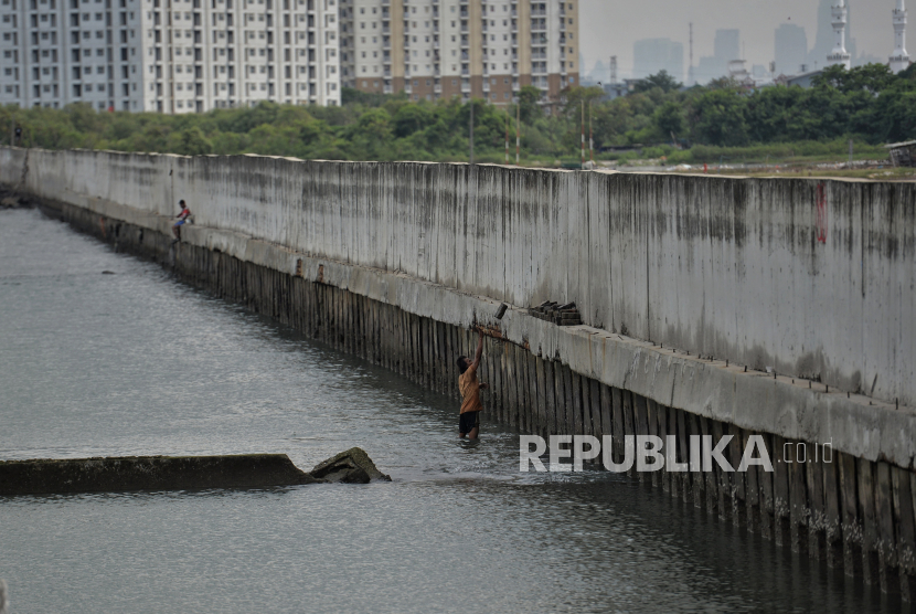 Warga beraktivitas di area tanggul Muara Baru, Jakarta. Timnas Amin sebut proyek tanggul laut raksasa memberi dampak buruk ekosistem laut.
