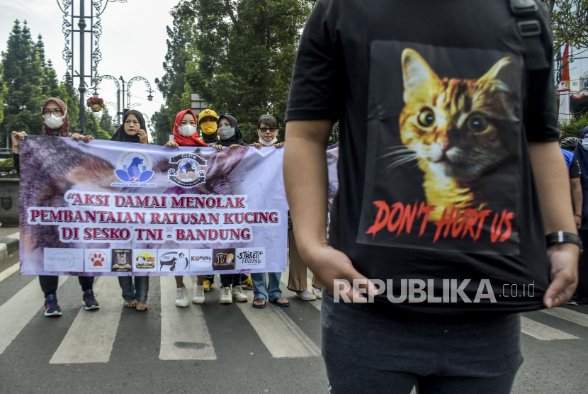 Komunitas pencinta kucing melakukan aksi damai (ilustrasi). Firda Latifah Anwar menolak damai dengan pelaku yang melakukan kekerasan terhadap kucing peliharaannya hingga mati.