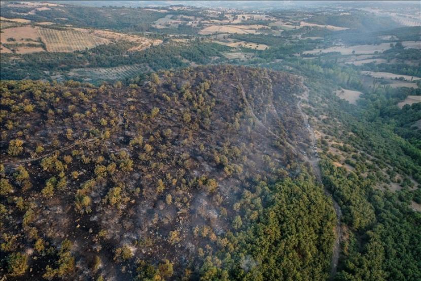 Upaya pemadaman masih berlangsung di 13 titik api yang tersisa di enam provinsi di Turki.