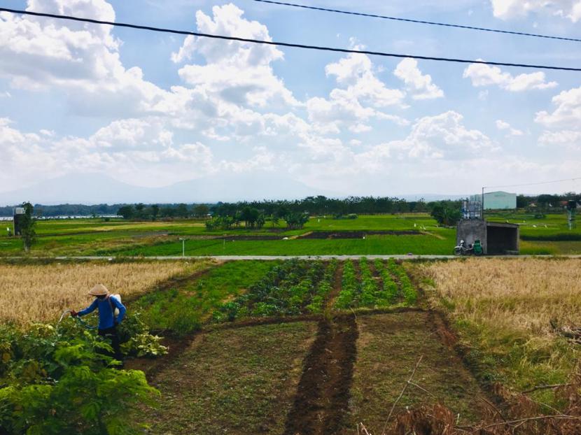 Tanah Bengkok, Salah Satu Potensi dan Kekayaan Desa di Sekitar Jawa Tengah