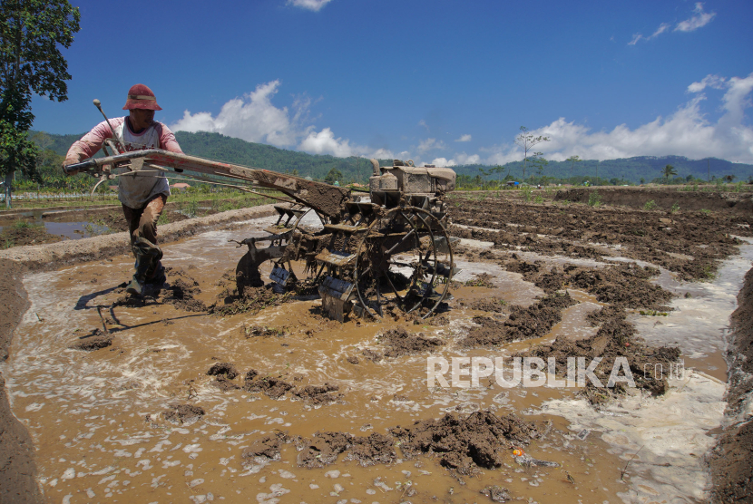 Seorang petani membajak sawah untuk persiapan tanam padi  di Lumajang, Jawa Timur, Selasa (12/9/2023). Kementerian Pertanian menggelar gerakan kejar tanam 1.000 hektare per kabupaten dan menyiapkan 500.000 hektare lahan dan benih di 10 provinsi sebagai upaya meningkatkan produksi serta menjaga stabilitas pangan nasional di tengah fenomena El Nino.  