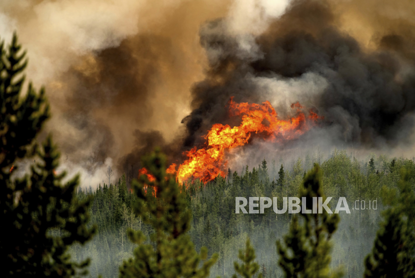 Kebakaran hutan di provinsi barat Kanada, British Columbia meluas 