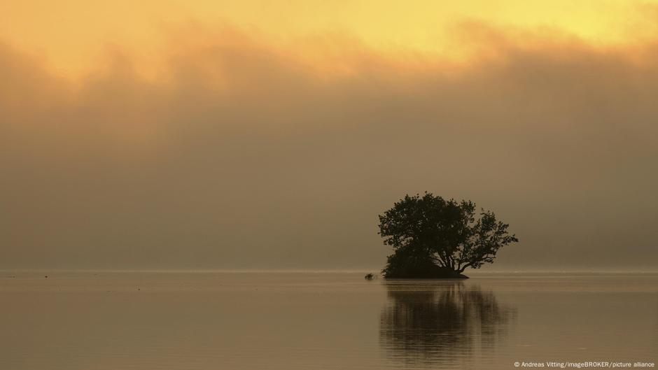 Andreas Vitting/imageBROKER/picture alliance