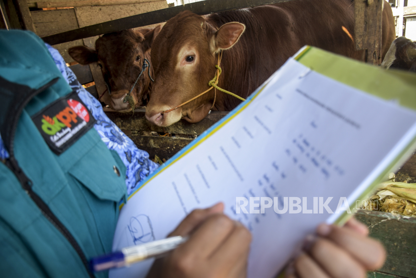 Petugas Dinas Ketahanan Pangan dan Pertanian (DKPP) Kota Bandung mencatat hasil pemeriksaan hewan sapi di salah satu lokasi penjulan hewan kurban di Sukahaji, Kecamatan Babakan Ciparay, Kota Bandung, Selasa (17/5/2022). Pemeriksaan tersebut guna mencegah dan mengantisipasi penyebaran wabah penyakit mulut dan kuku (PMK) pada hewan ternak yang sudah merebak di sejumlah daerah. Usia Ideal Hewan Qurban yang Boleh Disembelih