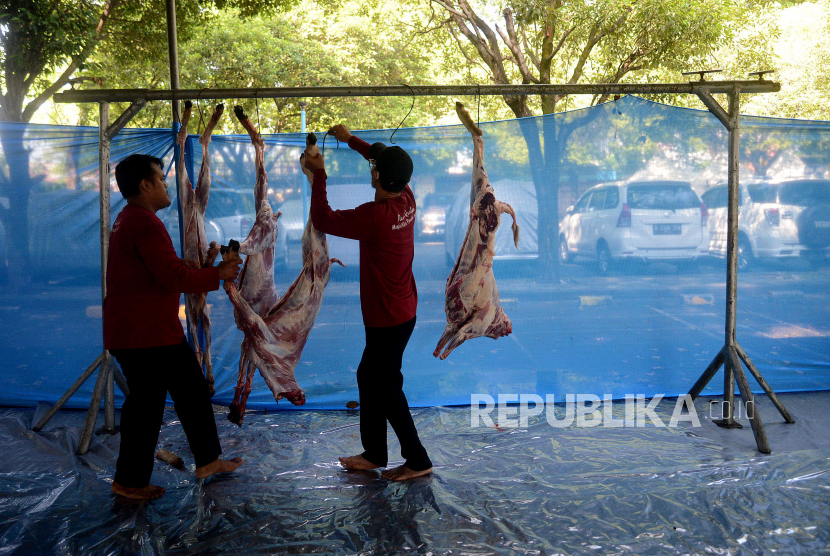 Panitia mengantung daging kurban di Masjid Raya Pondok Indah, Jakarta, Kamis (29/6/2023).
